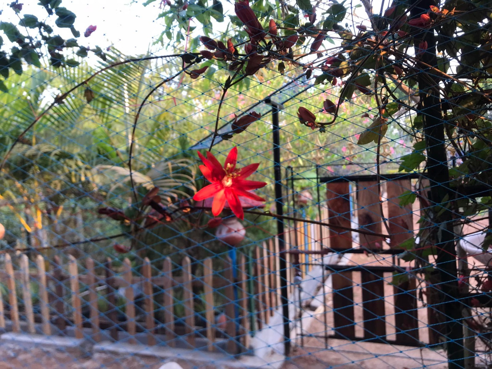 Atobi Private Cottage AC no 107