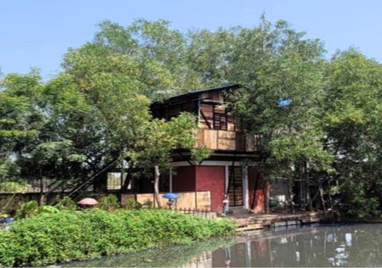 Tree House Upper (Non AC) Room No 115