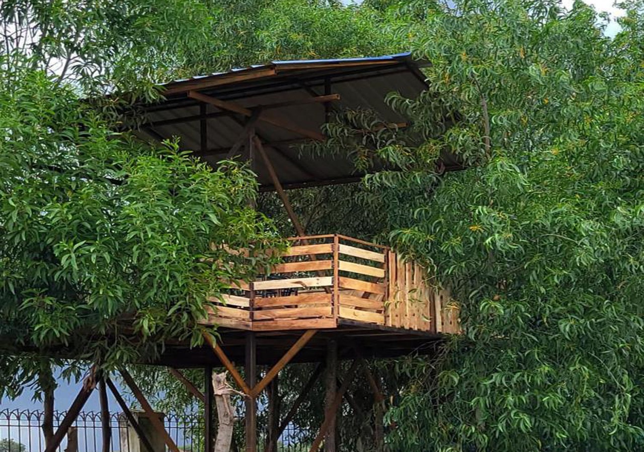 Tree House Upper (Non AC) Room No 115