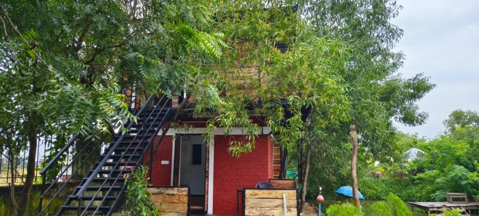 Tree House (Lower) Non ac Cottage Room No 115